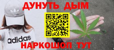 дживик Тара