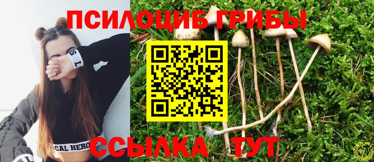 Галлюциногенные грибы ЛСД  Псилоцибиновые грибы прущие грибы  Вход с VPN  Мариинск 